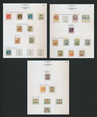 Hungary Stamps 1919 Baranya Serbian Occupation,  3 Vf Album Pages