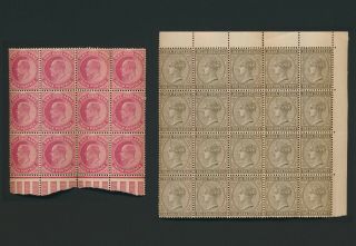 India Stamps 1883 & 1902 Qv 1a/6p Sepia Sg 90 X20 & Kevii 1a Sg 123 X12 Mnh Vf
