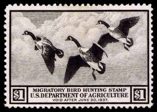 Rw3 Federal Duck Stamp Of 1936 - Oghr - Vf - Cv$160.  00 (esp 0654)