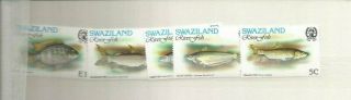 Swaziland Fish Scott 365 - 9 Mnh
