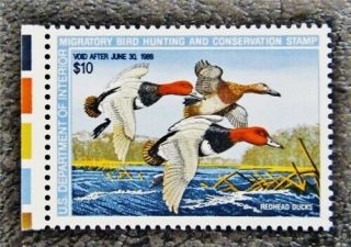 Nystamps Us Duck Stamp Rw54 Og Nh $18