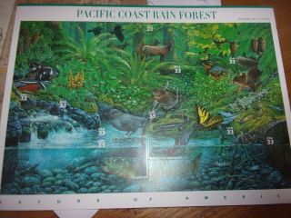 Scott 3378 Nature Of America Pacific Coast Rain Forest Full Page Stamp Series 2