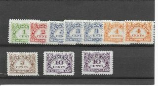 Newfoundland Postage Due,  All Never Hinged,  Except 5 C Stamp