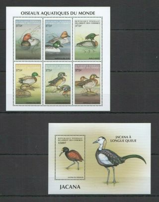 N1238 Comoros Fauna Water Birds Oiseaux Aquatiques Ducks Jacana 1kb,  1bl Mnh