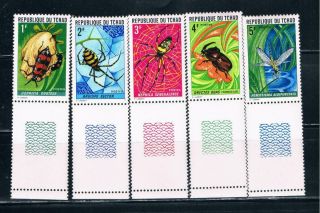 Chad 252 - 56 Mnh Set Insects And Spiders (c0122)