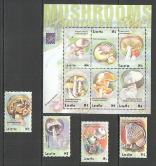 M1404 2001 Lesotho Mushrooms Of Southern Africa Flora Nature Kb,  Set Mnh