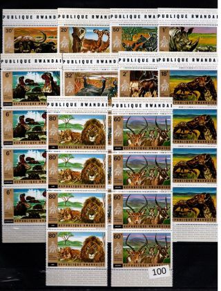// 4x Rwanda - Mnh - Nature - Wild Animals - 1972 - Lions - Zebras