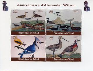 Chad 2018 Cto Alexander Wilson Ornithologist 4v M/s Natural History Birds Stamps