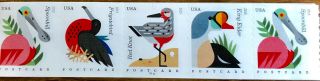 Scott 4995 - 4998 (34c) Coastal Birds Postcard Rate 2015 Issue - Mnh Pnc/5 P1111