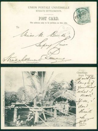1904 Malaya - Postcard Penang Greetings Card Singapore Dato Kramat (7 - 8)