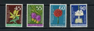 S575 Senegal 1966 Flora Flowers 4v.  Mnh