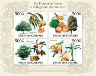Fruits & Trees In Region Of Indian Ocean Comores 2010 Mi.  2661/64 Mnh Cm10125a