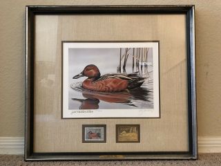 Rw52 1985 Federal Duck Stamp Print Cinnamon Teal By Gerald Mobley