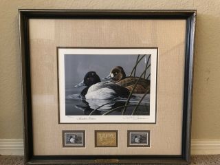 Rw56 1989 Federal Duck Stamp Print Lesser Scaup By Neil Anderson