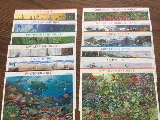Nature Of America Stamp Sheets - - Usa Complete Set Of 12