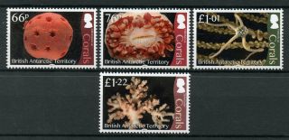 British Antarctic Territory Bat 2017 Mnh Corals Coral 4v Set Marine Stamps