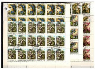 == 36x Russia 1983 - Cto - Flora,  Flowers - Sheets Bent