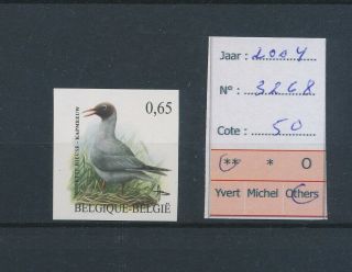 Lk44403 Belgium 2004 Buzin Birds Art Gull Imperf Mnh Cv 50 Eur
