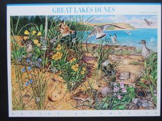2008 Great Lakes Dunes - Cat 4352 Sheet Of Ten 42 Cent Stamps Mnh