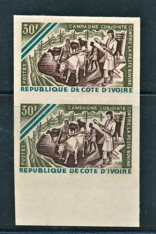 Ivory Coast 1966 Veterinarian Treating Cattle Margin Imperf Pair Yvert 255