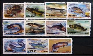Uganda 1985 Lake Fish Complete Sg457 - 467 U/m Nm551