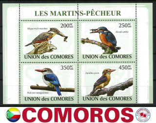 Comoros 2009 Kingfisher Fauna Bird Mnh (minisheet With 4 Stamps)