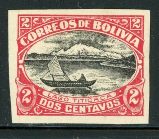 Bolivia Mh Selections: Scott 113a 2c Lake Titicaca Imperf Single $$