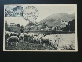 Religion Lourdes Basilica Domestic Animal Sheep Maximum Card 1954