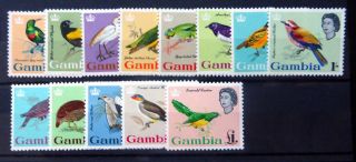 Gambia 1963 Birds Complete Sg193 - 205 U/m Fp8301