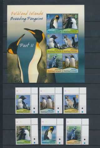 Gx03627 Falkland Islands 2010 Penguins Animals Birds Fine Lot Mnh