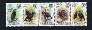 Db159 Swaziland 1985 Wildlife Conservation J.  J.  Audubon Strip Of 5 Mnh