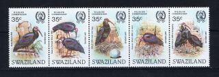 Db158 Swaziland 1984 Wildlife Conservation Bald Ibis Strip Of 5 Mnh