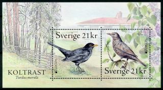 Sweden 2019 Mnh Birds Europa Blackbirds 2v M/s Stamps
