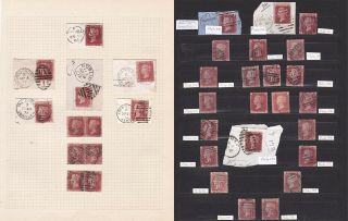 Gb.  Qv.  Sg 43,  1d Rose Red Selection.  Various Plates.  On Piece/cds.