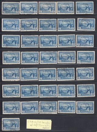Canada: C9x 7c Blue Goose Airmail Re - Entry Variety Lot (x36) (see Notes)