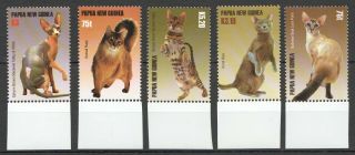 L761 Papua Guinea Fauna Pets Cats Set Mnh Stamps