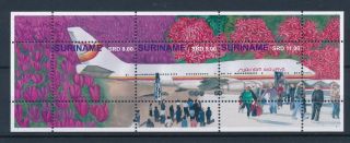 [su2071] Suriname Surinam 2014 Airways Aviation Tulips Souvenir Sheet Mnh