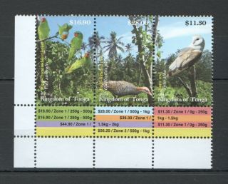 W1039 2014 Tonga Fauna Birds Owls Parrots Michel 73 Euro 1set Mnh