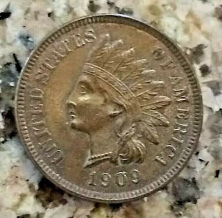 Rare 1909 U.  S Indian Head Penny Brown Tone Clear Sharp Details N/r