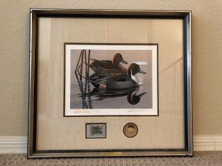 Rw50 1983 Federal Duck Stamp Print Pintails By Phil Scholer