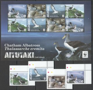 C820 2016 Aitutaki Wwf Fauna Birds Chatham Albatross 1kb,  1set Mnh