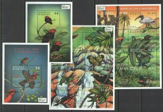 V923 Antigua & Barbuda Fauna Birds Of The Caribbean Expo 2000 2bl,  2sh Mnh