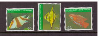 Ivory Coast Mnh 1980 Fish Set Stamps
