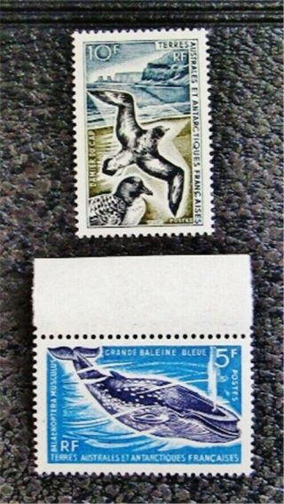 Nystamps French Southern Antarctic Territory Stamp 25 26 Og Nh $50