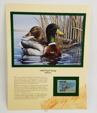 Rw47 1980 Federal Duck Stamp Print Mallards By Richard Plasschaert