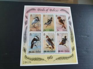 Belize 1980 Sg 577 - 582 Espamer Stamp Exn Mnh