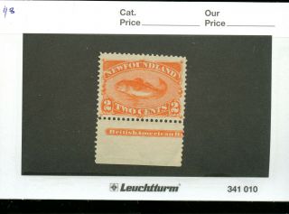 Newfoundland Stamp 48 2 Cent Red Orange Cod Fish Mnh Co67