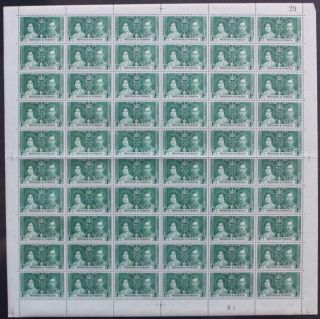 Trinidad&tobago: 1937 Full 10 X 6 Sheet 1c Coronation - Full Margins (26518)
