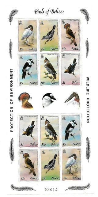 Belize Vintage Postage Stamps 1980 Birds Ms 567 Mnh