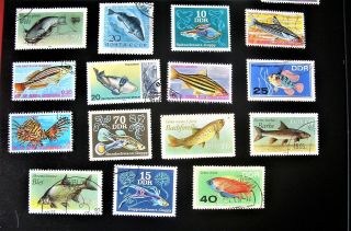 Thematic Stamps.  ' Fish ' 23 stamps. 3